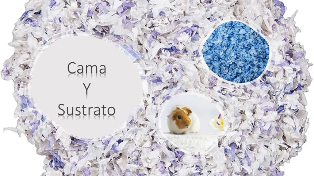 cama-y-sustrato-para-cobayas